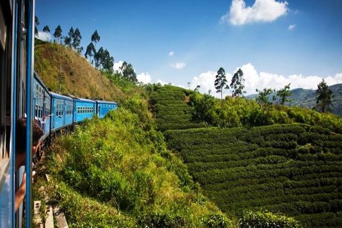 Kandy & Nuwara Eliya