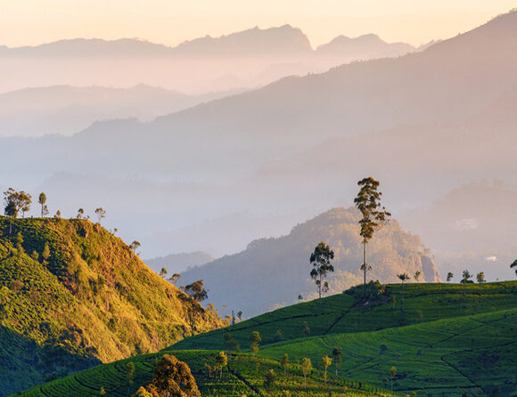 SriLanka Central Highlands