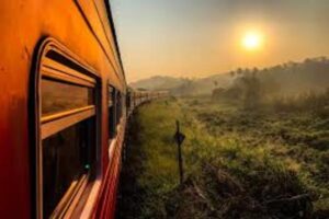 The Local Way - Sri Lanka