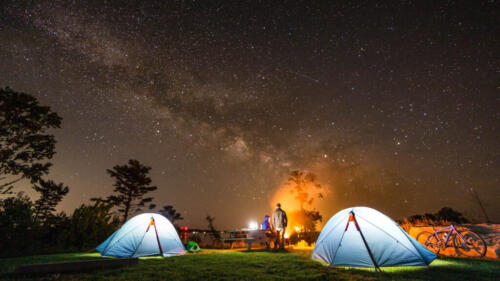 Graves-Island-camping-stars-1024x576-1