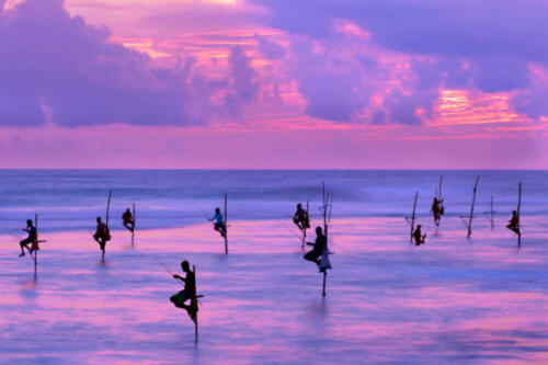 Fishermen_on_stilts_at_the_sunset,_Sri_Lanka